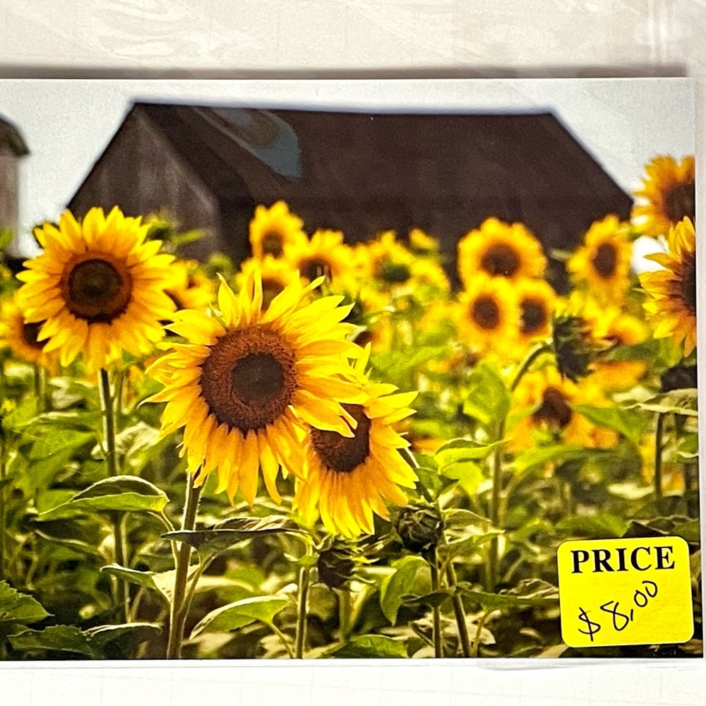 Sunflower Magnet 5 1/2 X 4 1/4